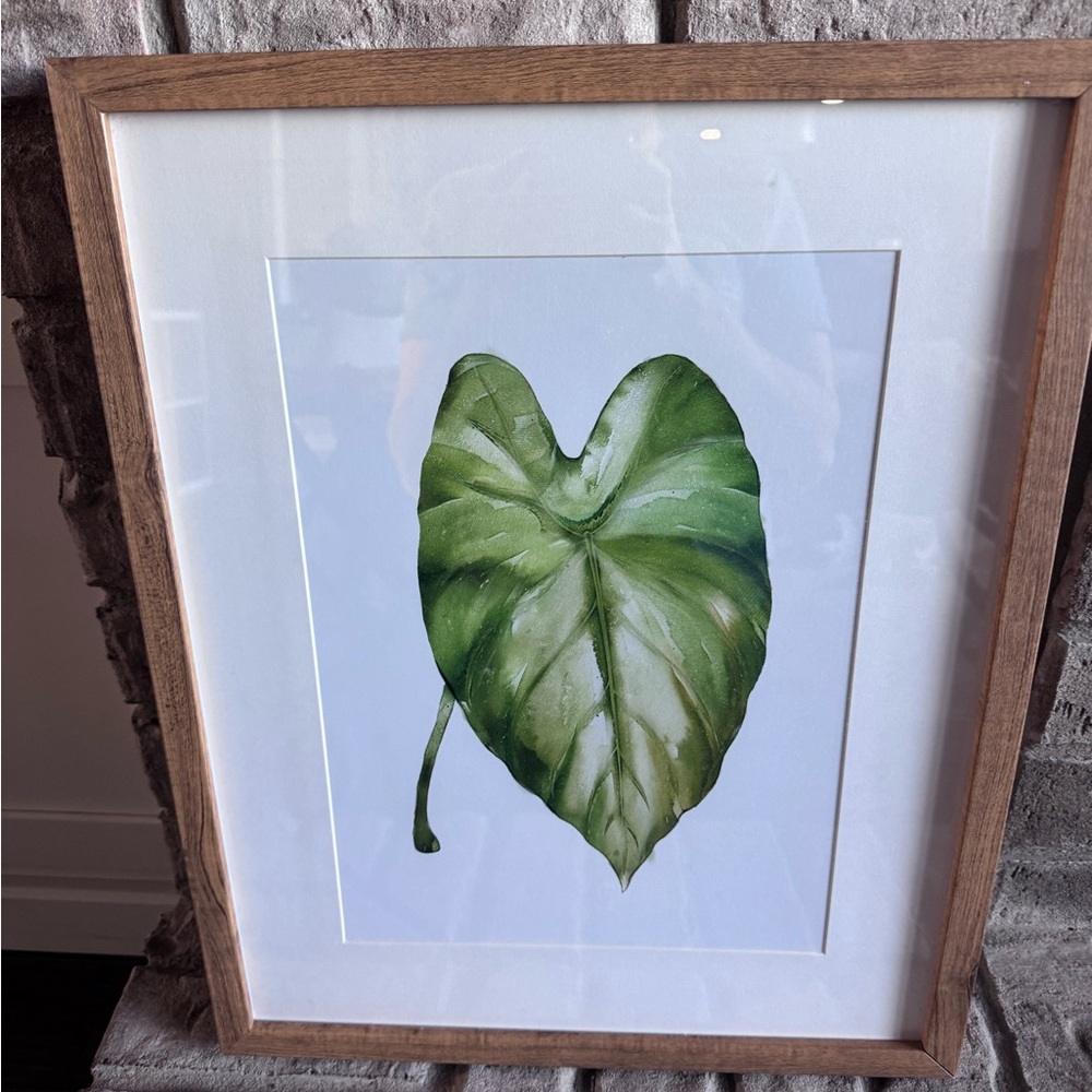 Target threshold, framed plant picture #1 of 2